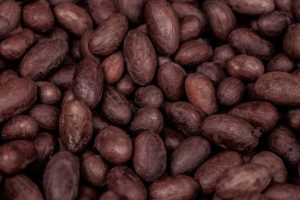 Cocoa beans